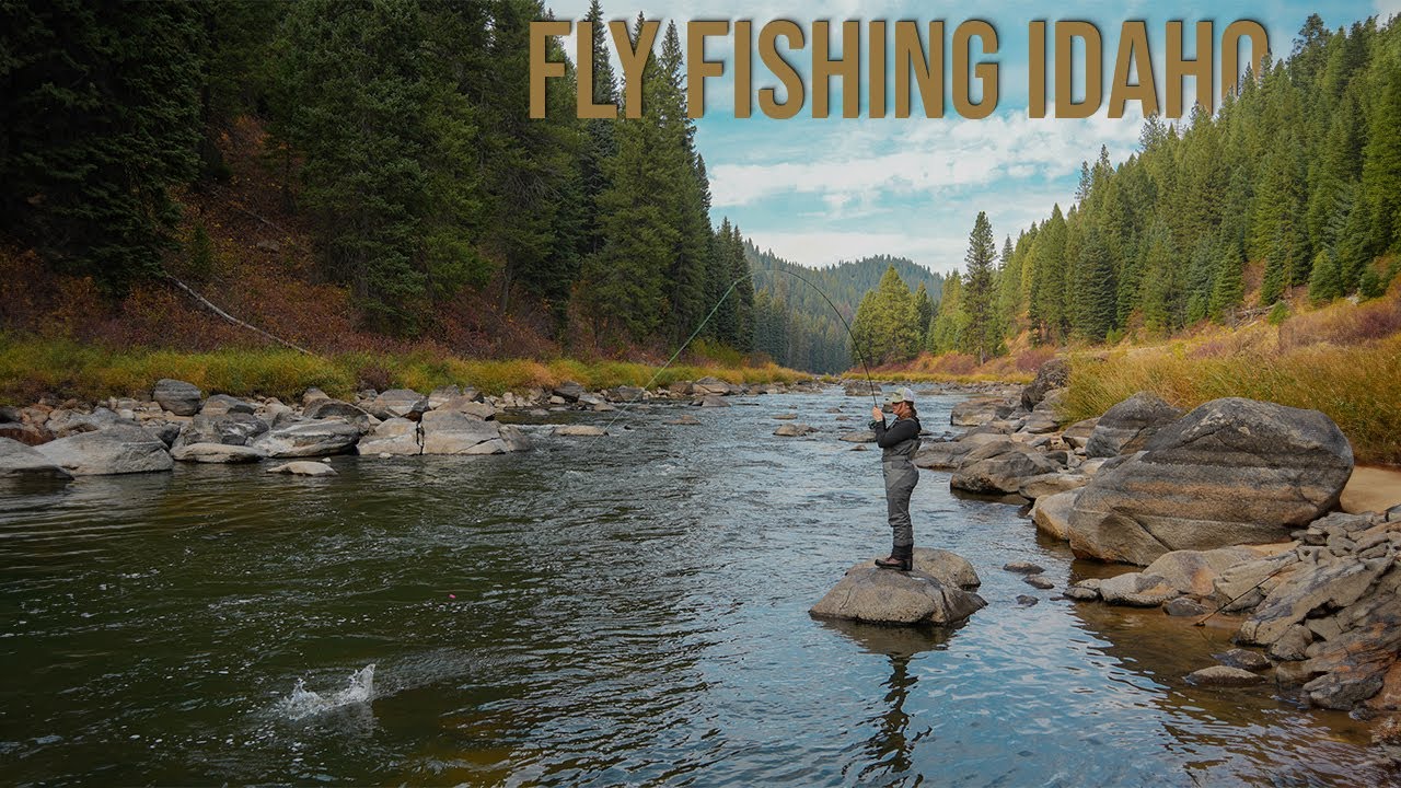 ALMOST Every Cast We Caught Trout! (Fly Fishing)