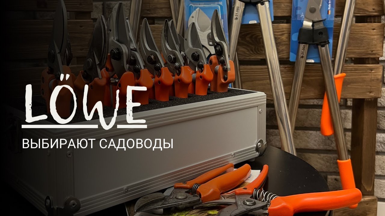 LÖWE | обзор секаторов для обрезки ягодных культур.