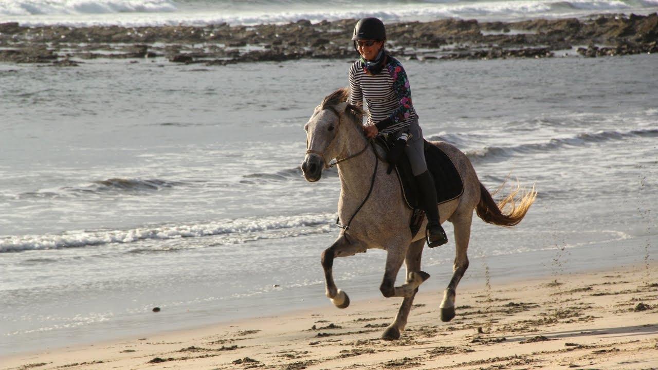 How a Riding Vacation Can Make You a Better Rider