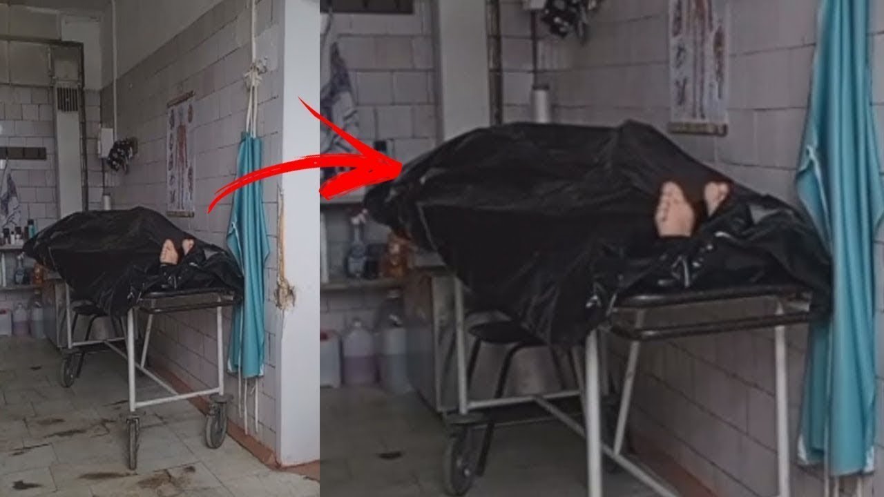 Vídeos SEM EXPLICAÇÃO Capturados por Câmera! Compilação 2026
