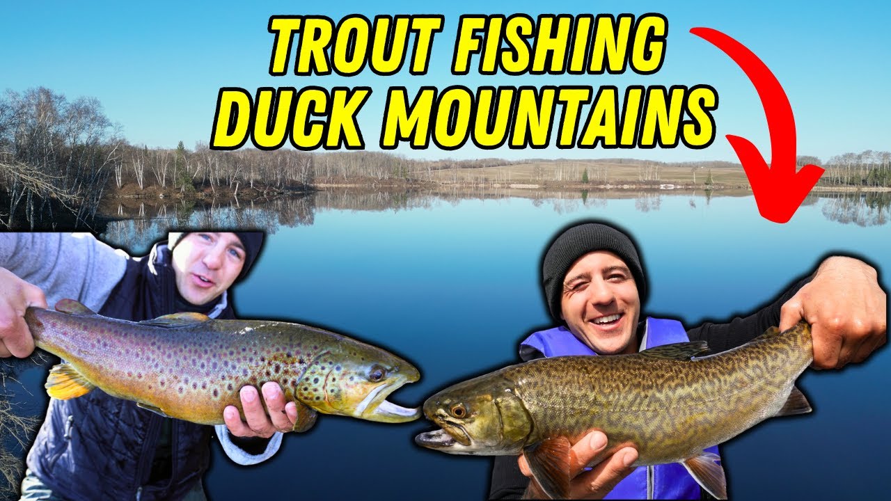 Duck Mountains | Manitoba TROUT FISHING (Brown & Tiger)