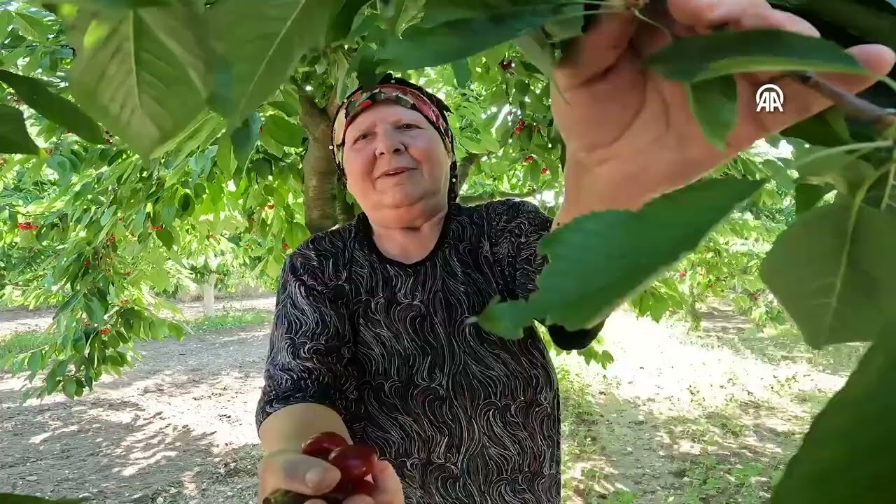 Kırklareli'nin meşhur 