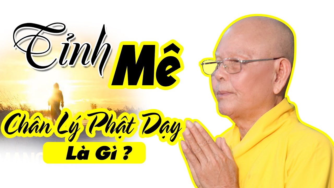 TỈNH MÊ Chơn Truyền Chân Lý Phật Dạy - HT Thích Từ Thông