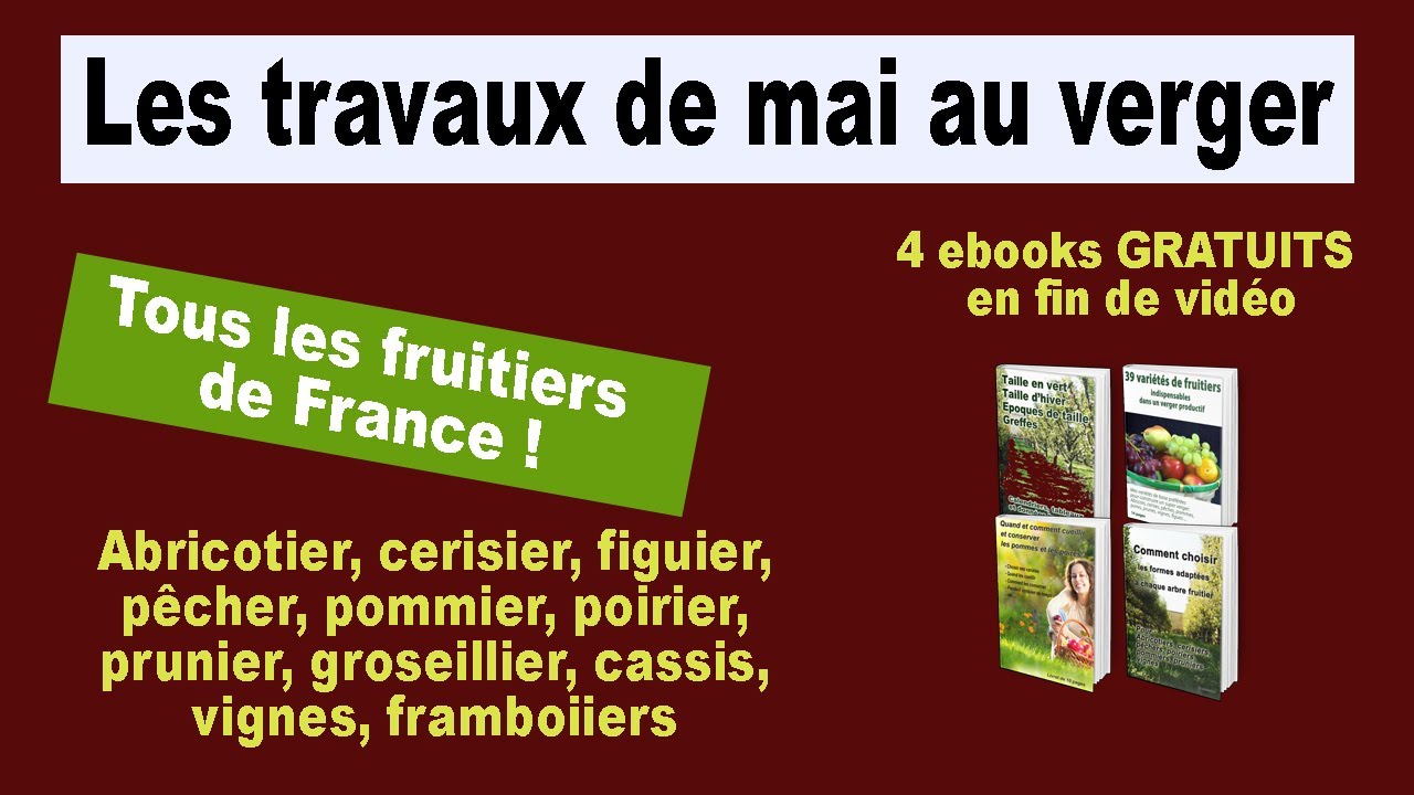 Important: La taille de mai au verger