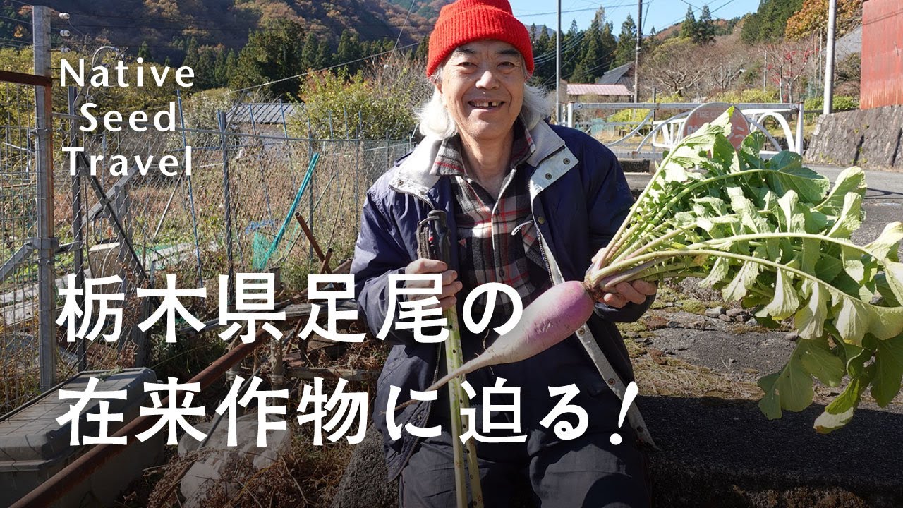 世界遺産級！？栃木県足尾町の在来野菜に迫る！