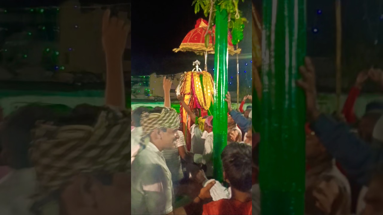 Husen Basha Sawari nayi video 2025 #trending #muharram #viral