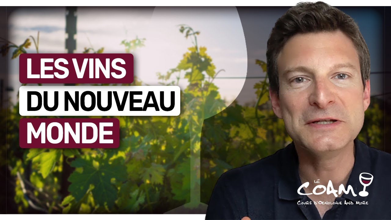 D&eacute;couvrez Les Vins du NOUVEAU MONDE : des INCONTOURNABLES