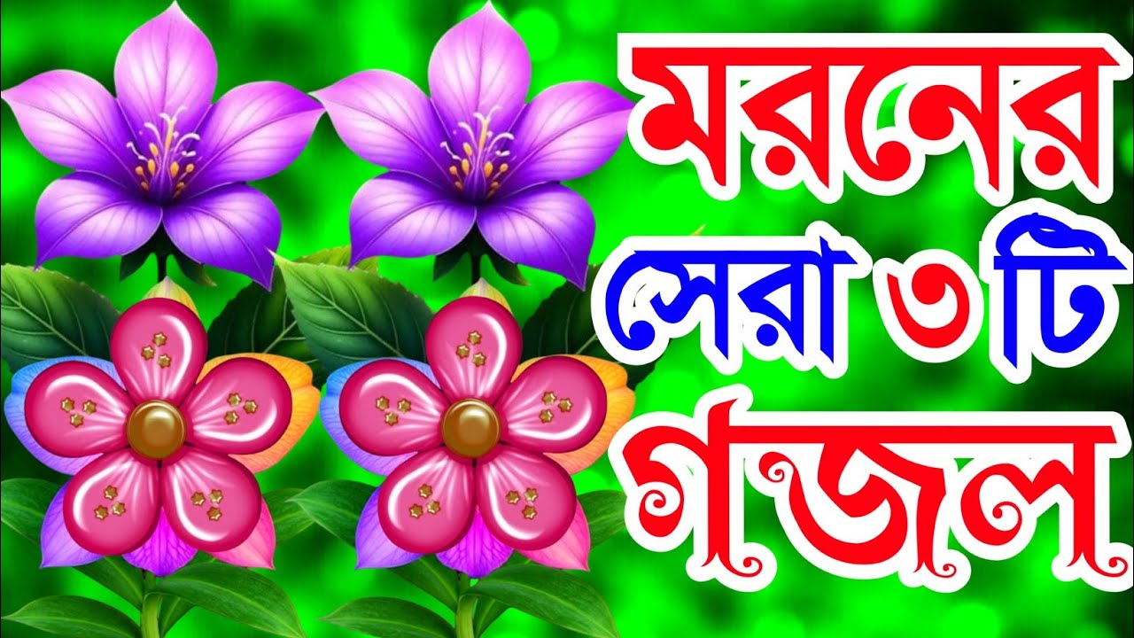 খুবই দুঃখের মরণের সেরা ৩টি গজল‌ । কোন বনের পাখি তুমি গো গজল খুবই দুঃখের গজল।new Gojol trending gojol