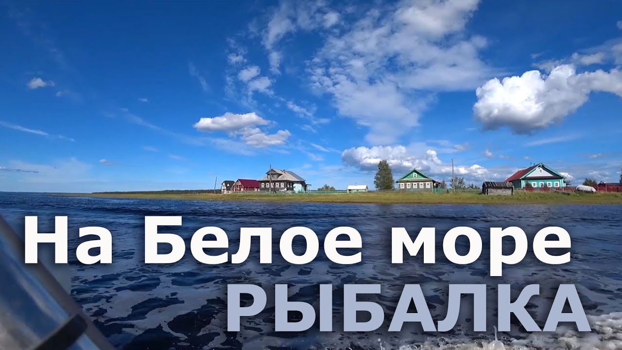 Рыбалка на Белом море 2022. Часть первая. Навага.