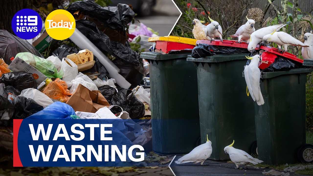 Fuel crisis could soon disrupt bin collections around the country | 9 News Australia