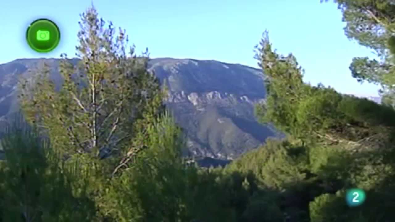 El Castell de Guadalest en Agrosfera (Julio 2015)
