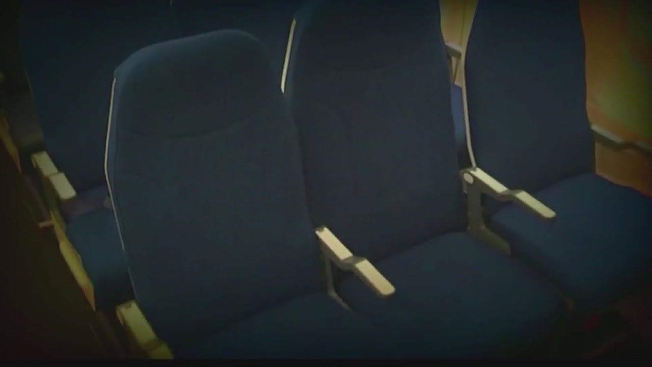 Woman urinated on during flight
