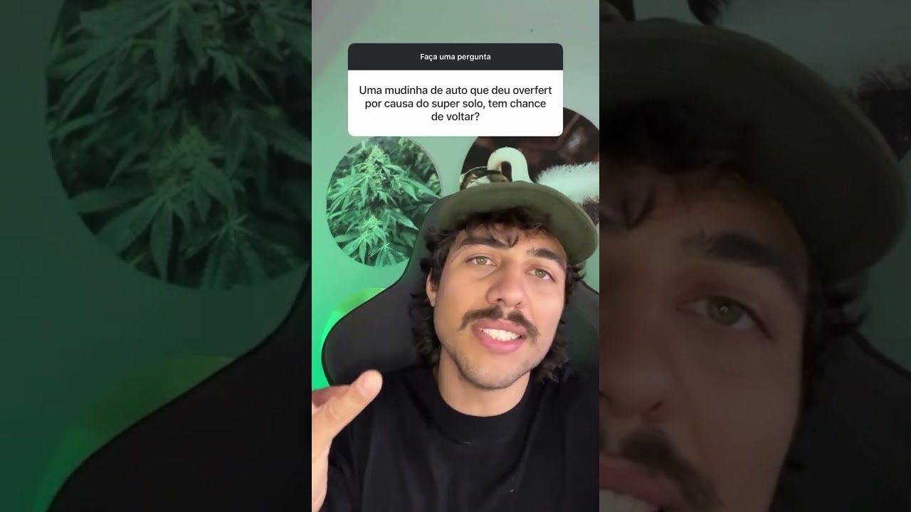 Planta autom&aacute;tica com overfert (vai sobreviver?)