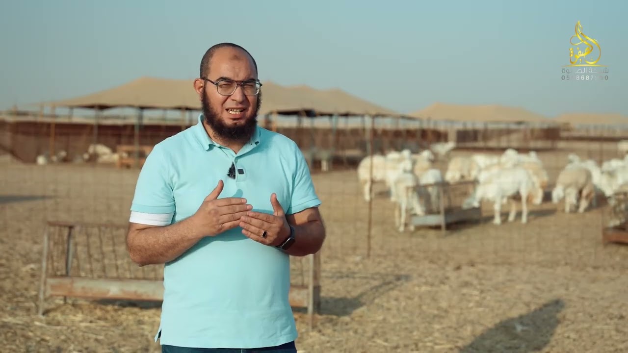 صمام الأمان وتربية الاغنام في السعودية الحلقة 7