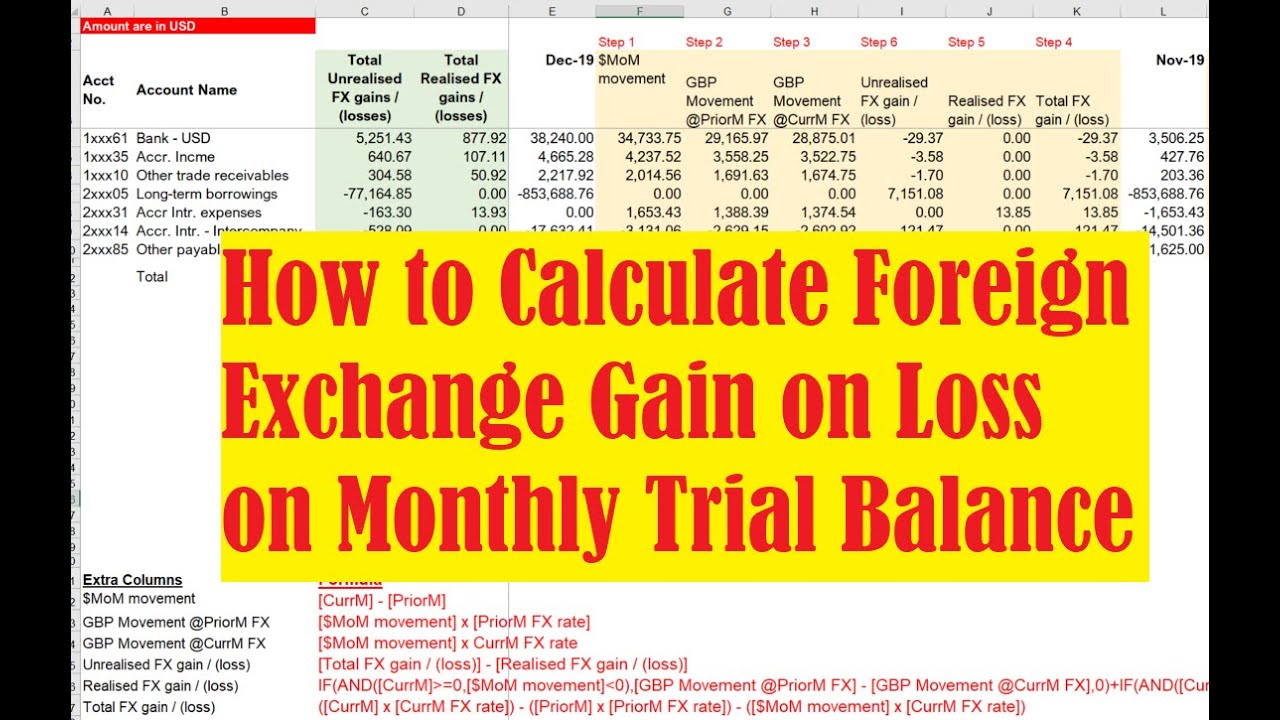 How to Calculate Foreign Exchange Gain on Loss on Monthly Trial Balance