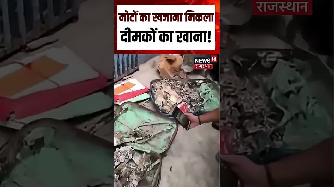 Viral Cash Video : पैसों से भरा बैग निकला दीमकों का घर! | N18S | Viral | Cash | Top News | Breaking