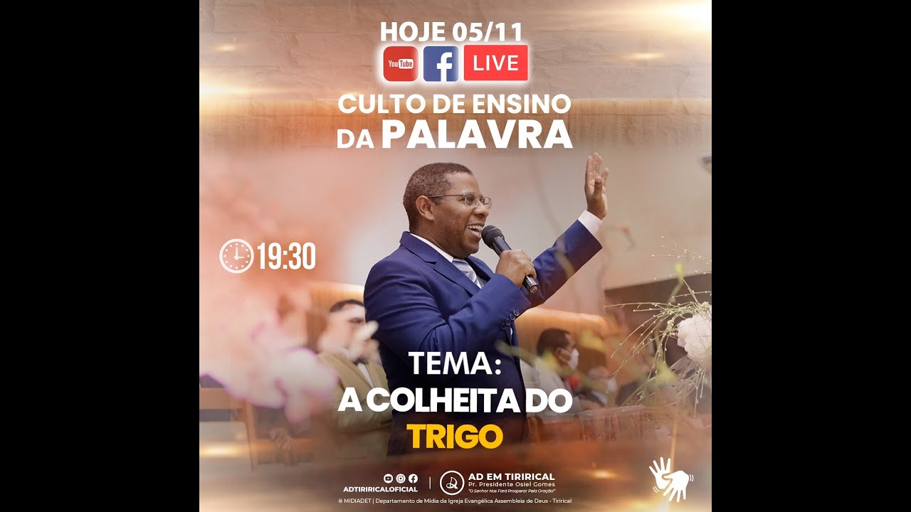 A COLHEITA DO TRIGO - PARTE 2