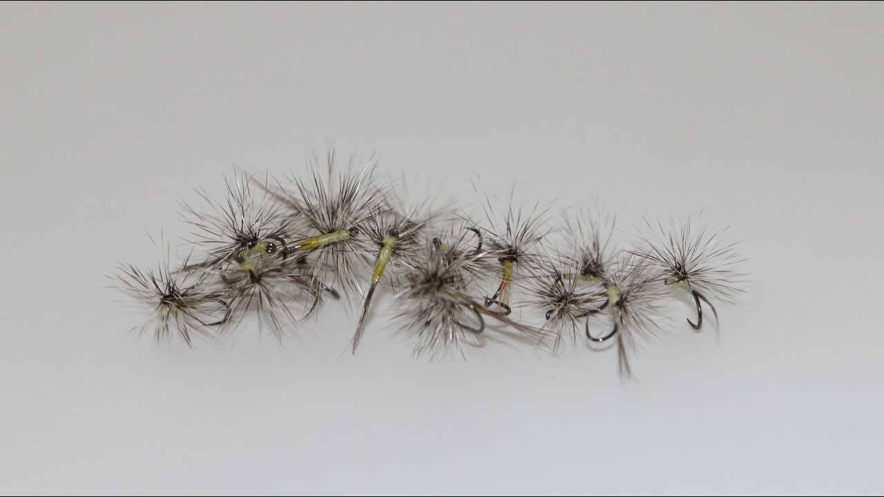 Montage paraloop d'une mouche grise à corps jaune