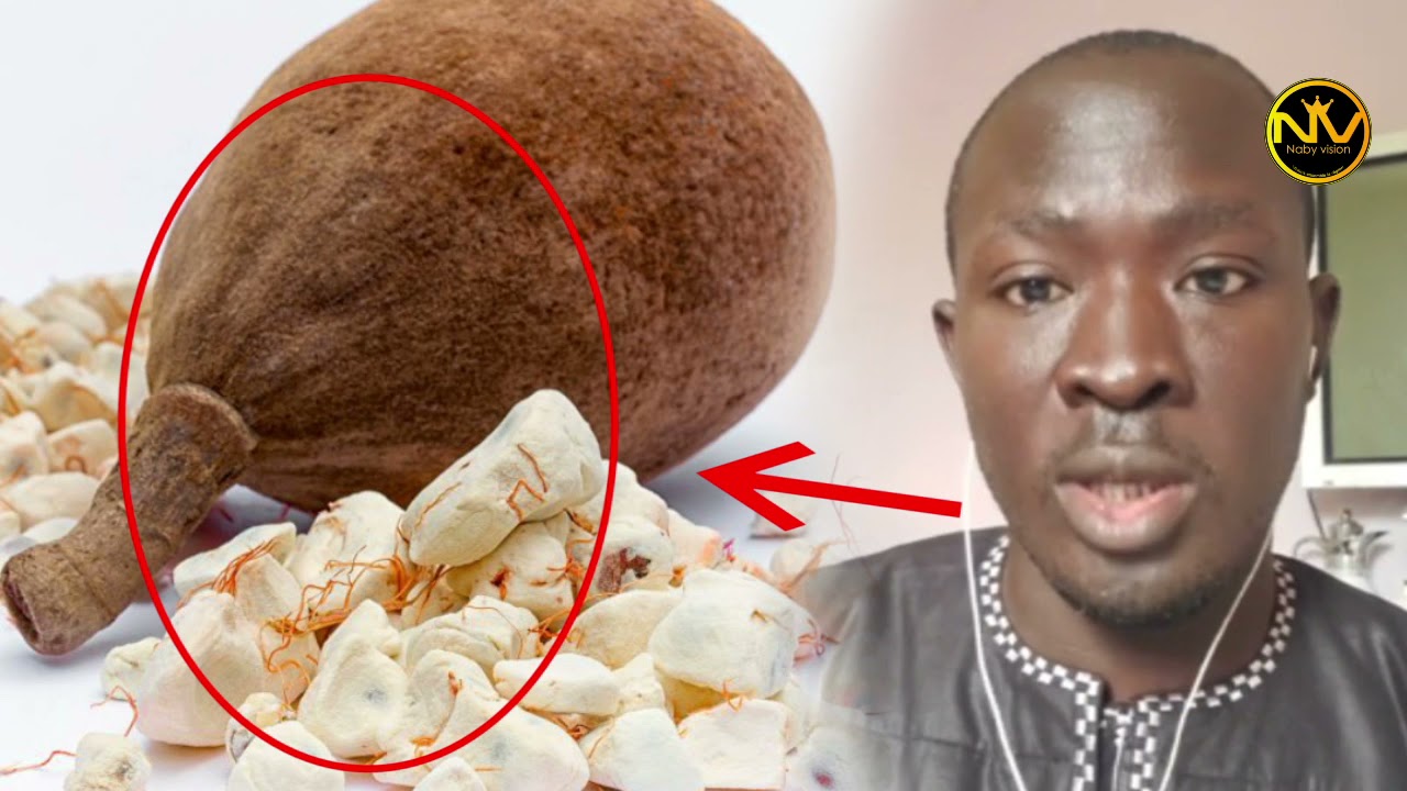 🔴URGENT S Mor Touré Di Wax Ci Jus Bouye Les Bienfaits de Baobab Sur La Santé Humain