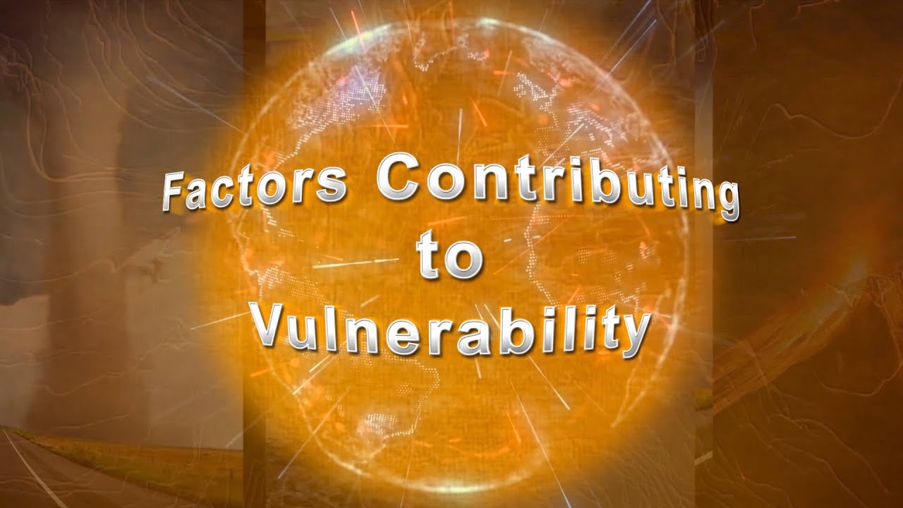 FACTORS CONTRIBUTING TO VULNERABILITY