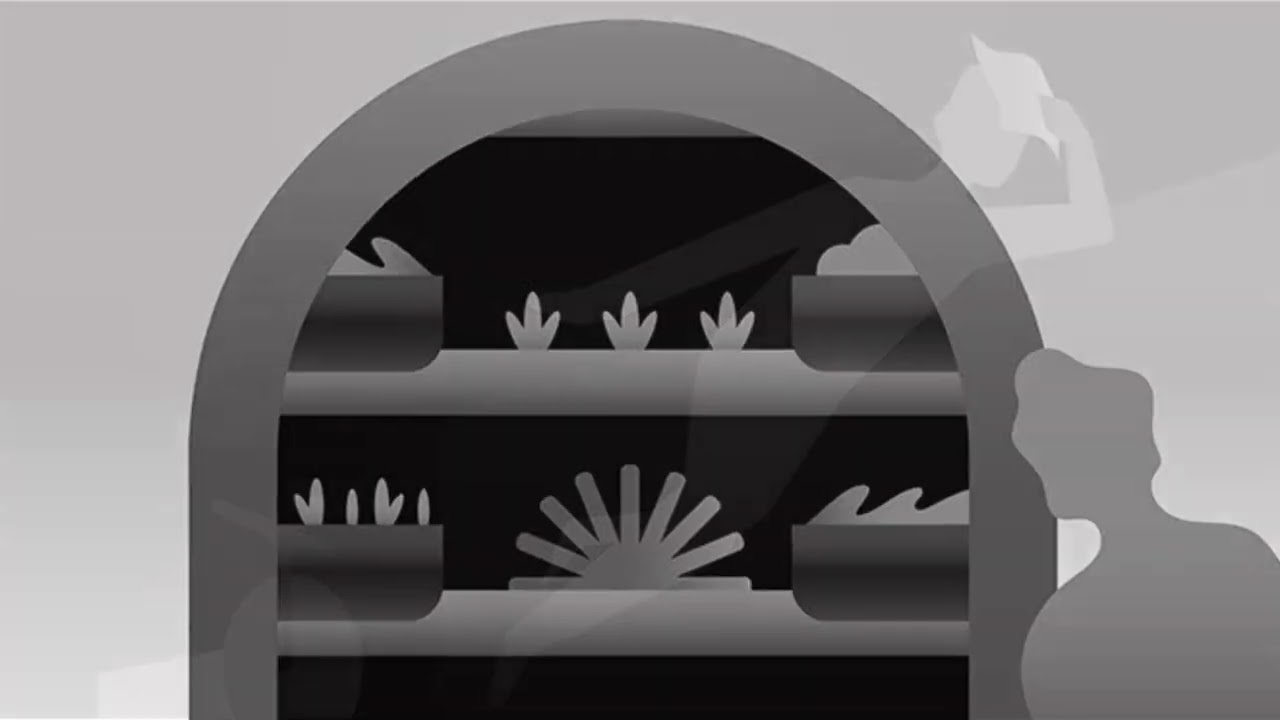 Turbo Vojo i badnjaci