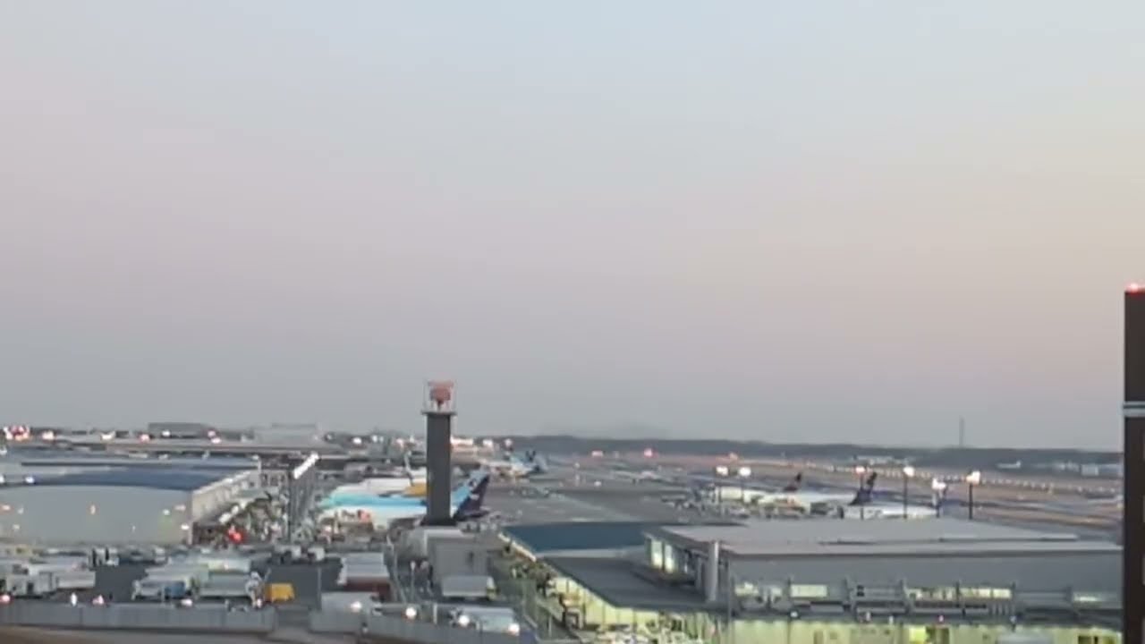 シャオくんとレイちゃんを乗せる飛行機を眺める 成田空港が見える場所からライブ配信