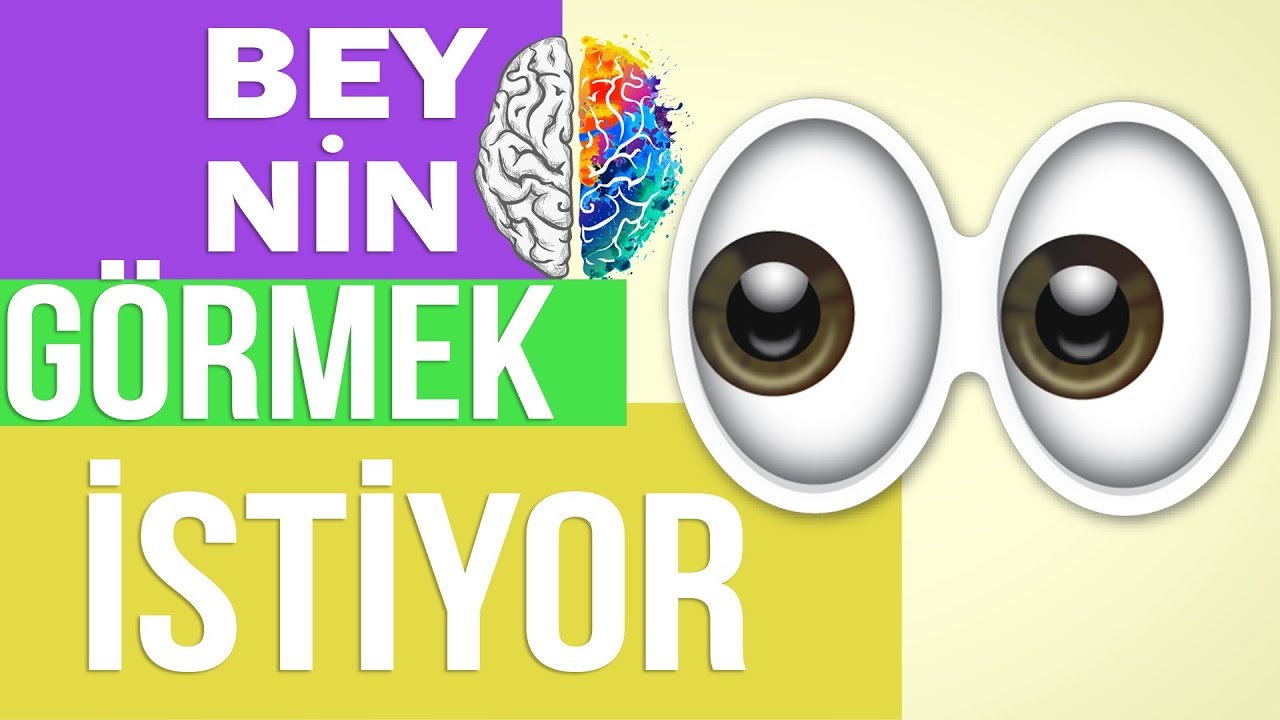 ÖĞRENMEDE GÖRÜNTÜ- ÇAĞRIŞIM | ZİHİN HARİTASI #3