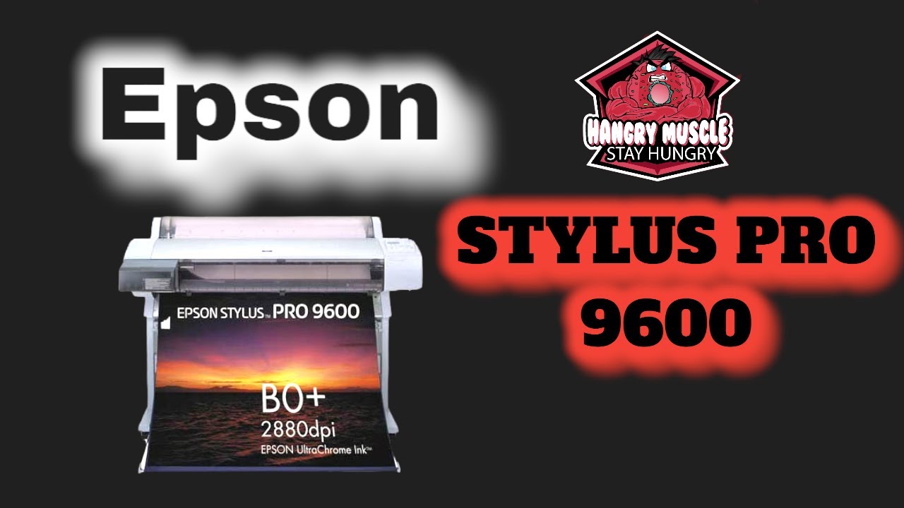 Epson Stylus Pro 9600: Next DTF Project?
