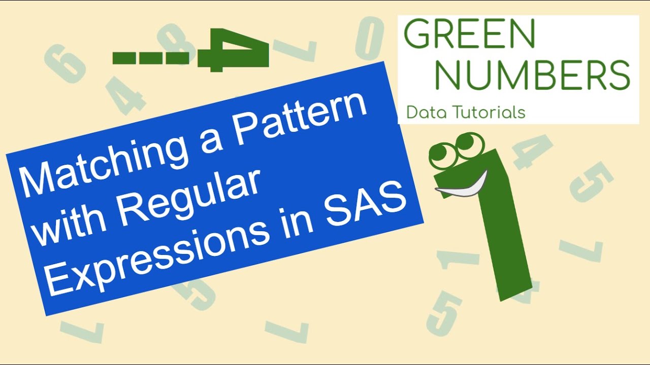 Using Regular Expressions in SAS | Match a Pattern | PRXMATCH