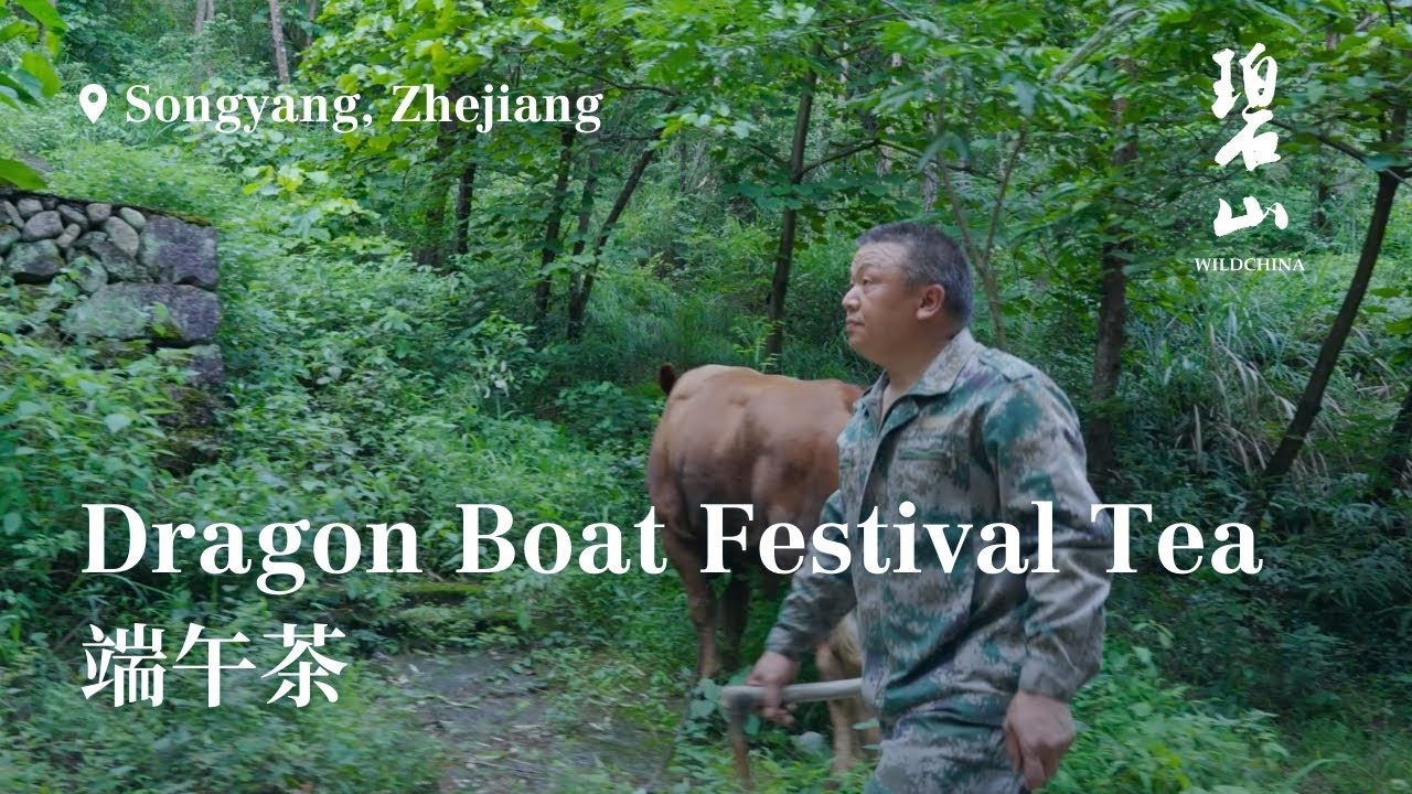 Bendi Stories / Episode 4: Dragon Boat Festival Tea in Songyang