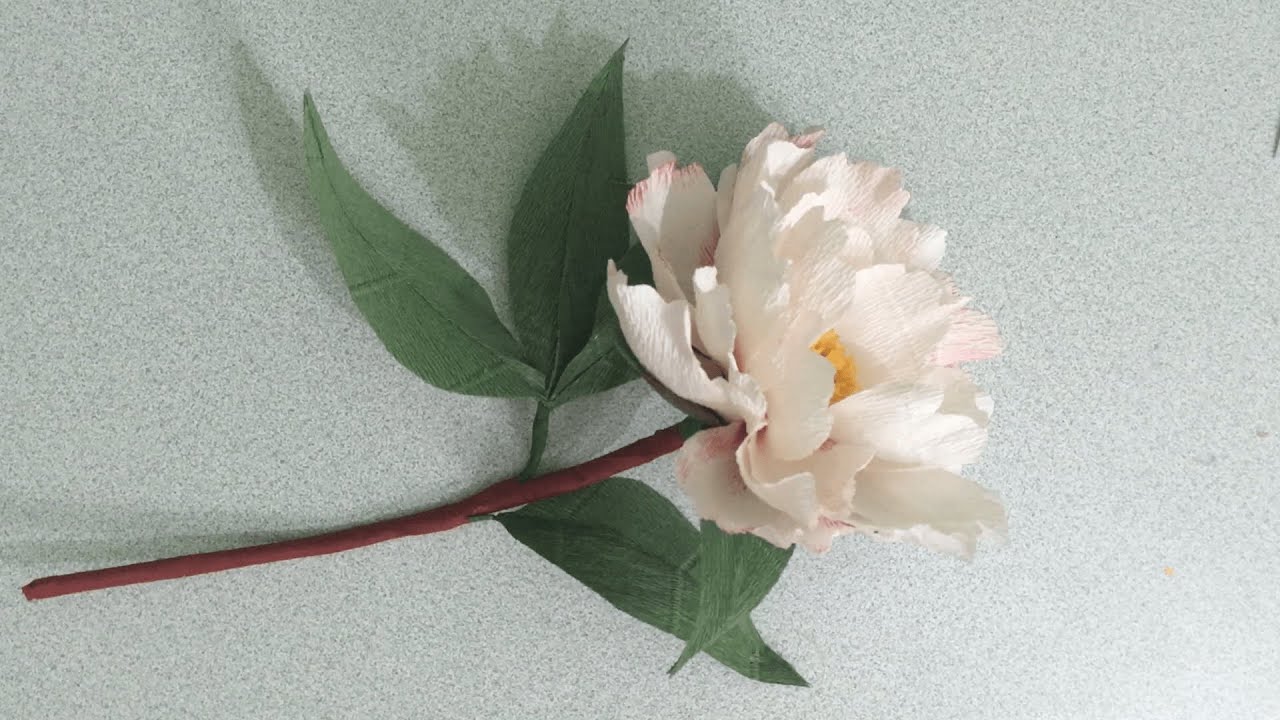 How to make a peony flower with crepe paper