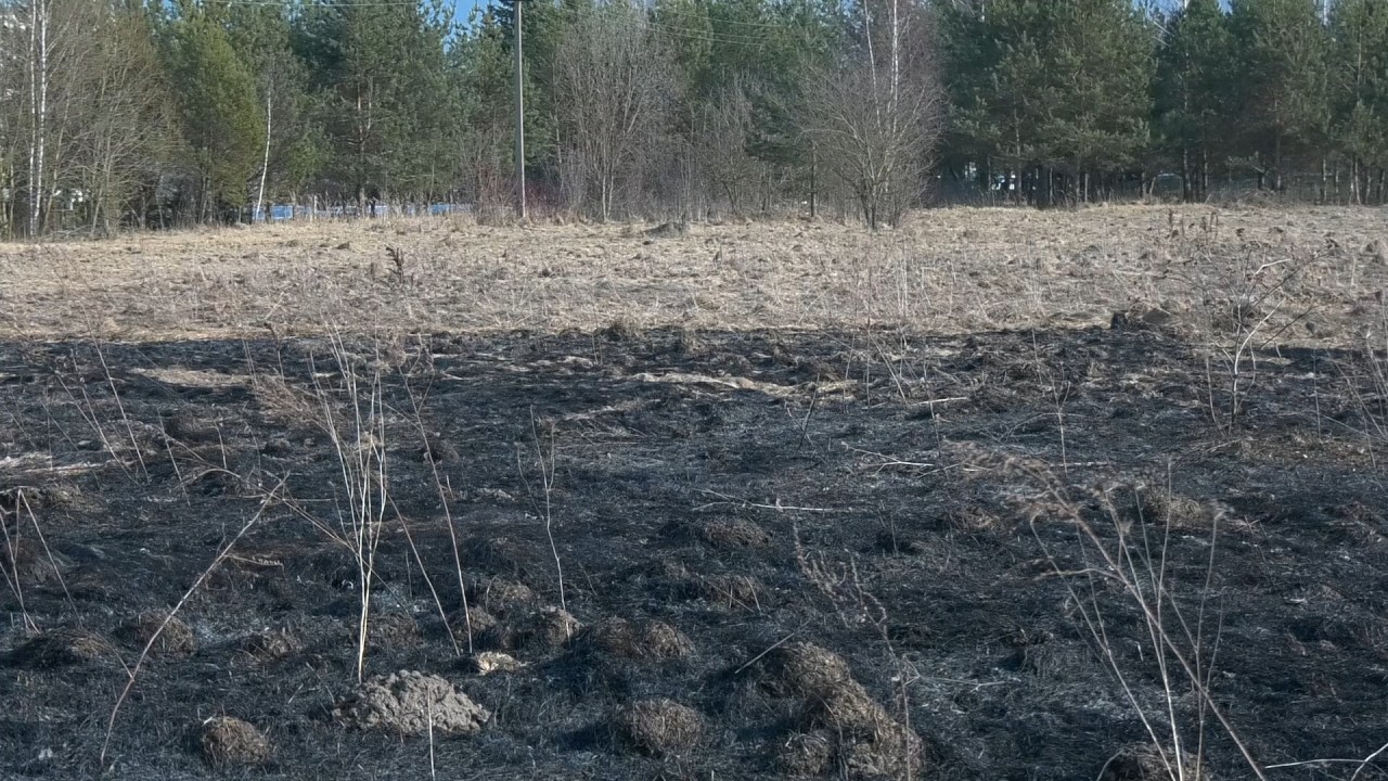 В Лидском районе участилось количество происшествий, связанных с возгоранием сухой растительности