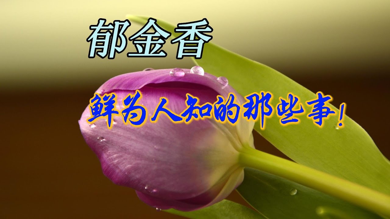 郁金香，鲜为人知的那些事！
