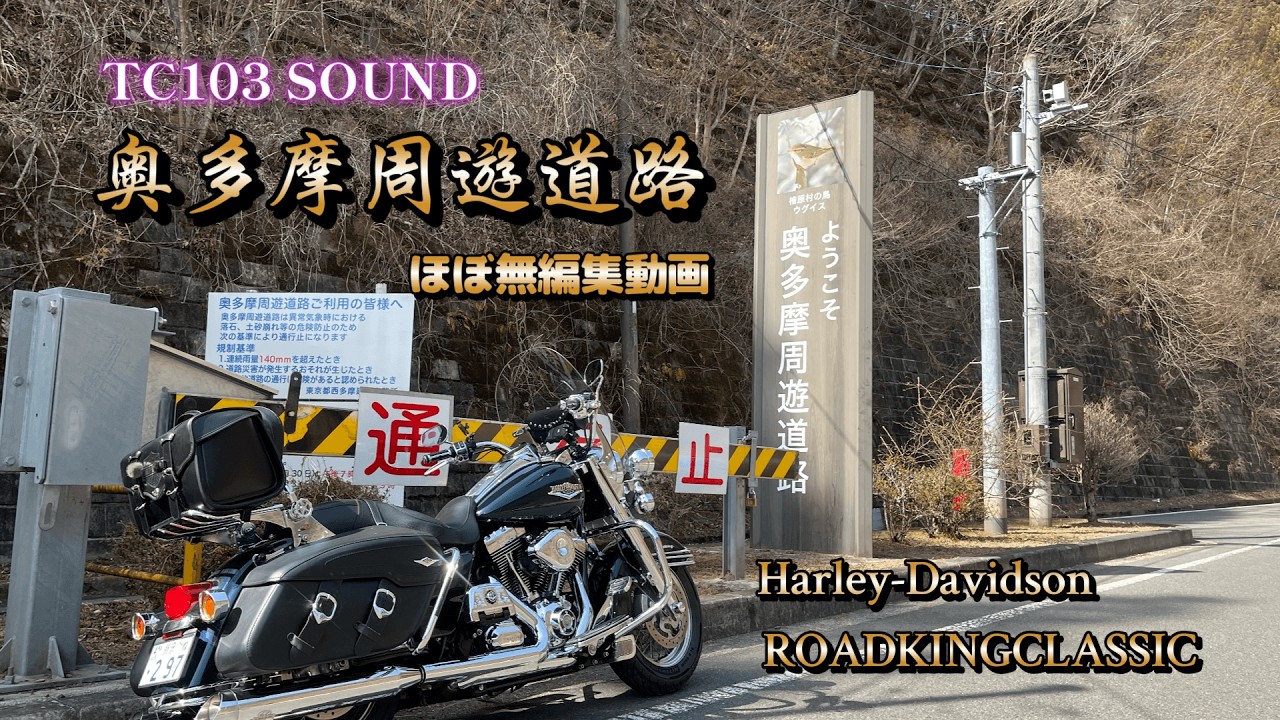 【モトブログ】#64 番外編 「奥多摩周遊道路」Harley Davidson Engine Sound