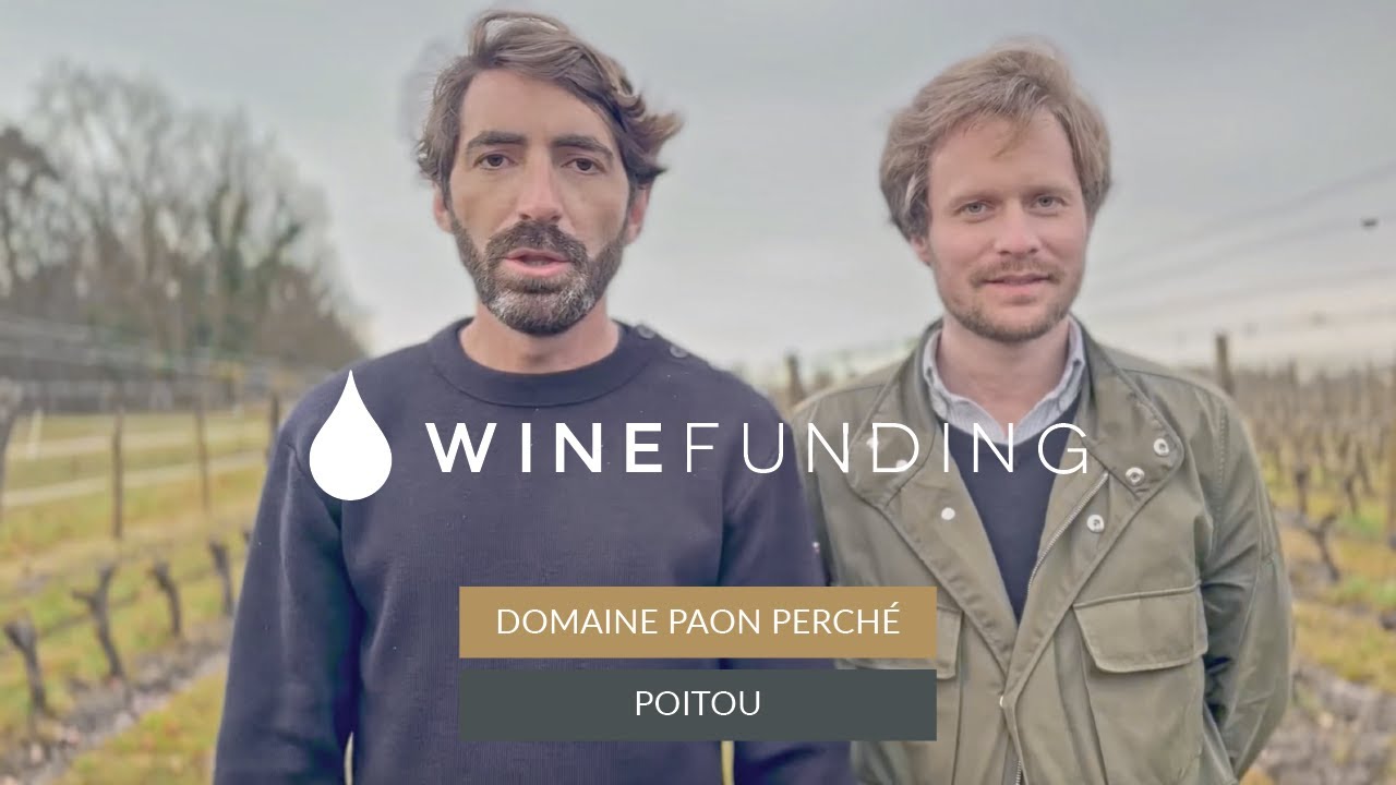 Domaine Paon Perché - WineFunding