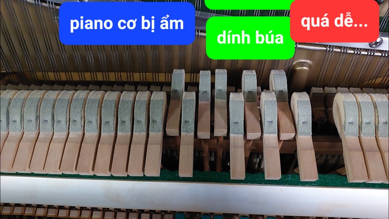 Đàn Piano cơ Bị Ẩm dính phím, dính búa. Xem xong ai cũng làm được.@Piano_Nguyễn_Vinh