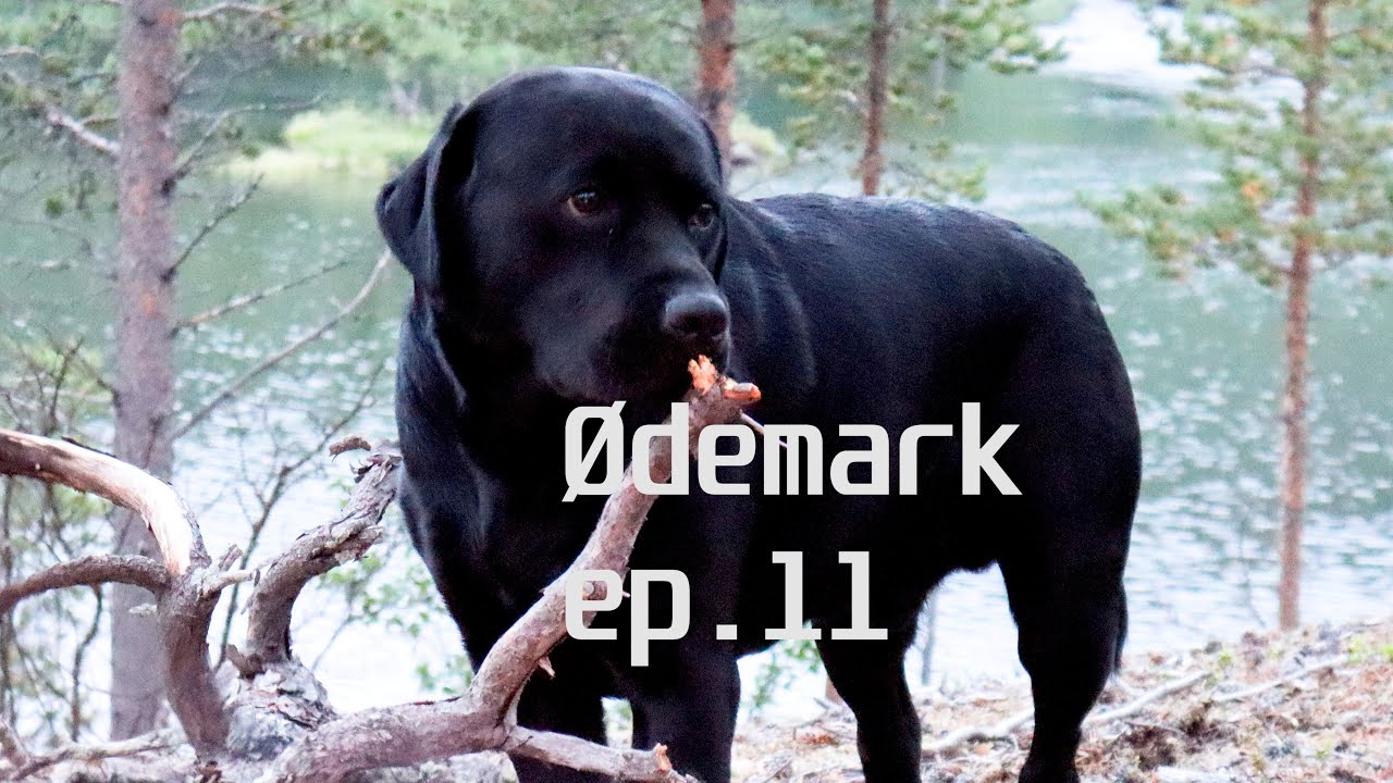Ødemark / No man's land - Episode 11