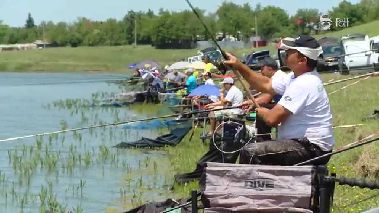 Secretele maestrilor de stationar