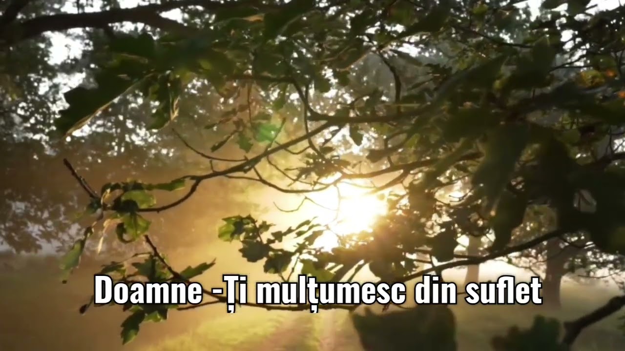 Doamne-Ți mulțumesc din suflet - Valentin Trif