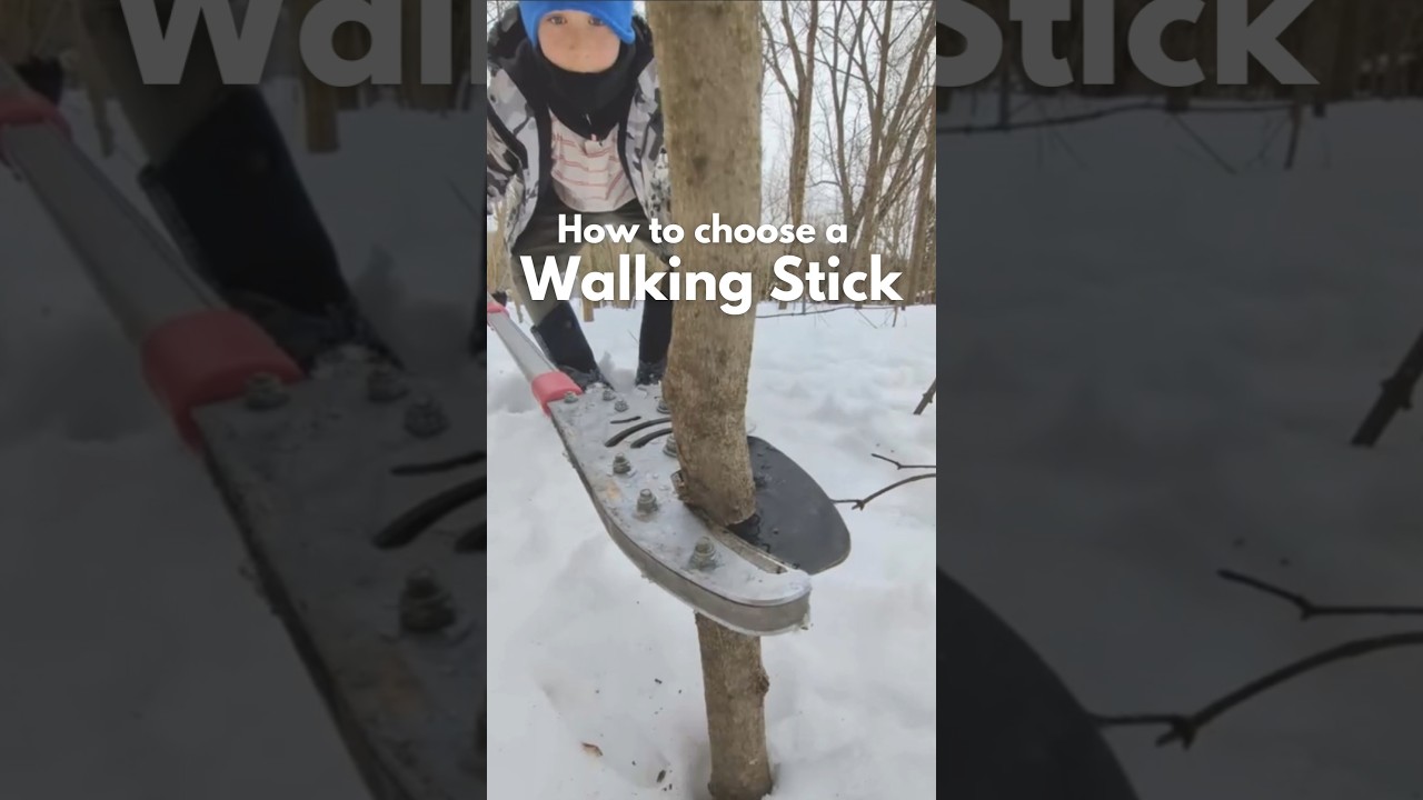 How to Choose a Walking Stick #walkingstick #hiking #outdoors