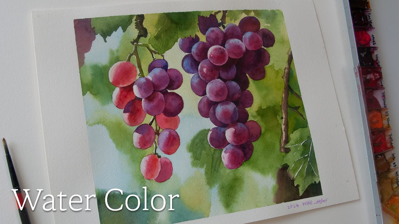 [ENG] 수채화 맑고 투명하게 그리는 네가지 방법/ 포도 감성 수채화 / How to draw grapes with water colors