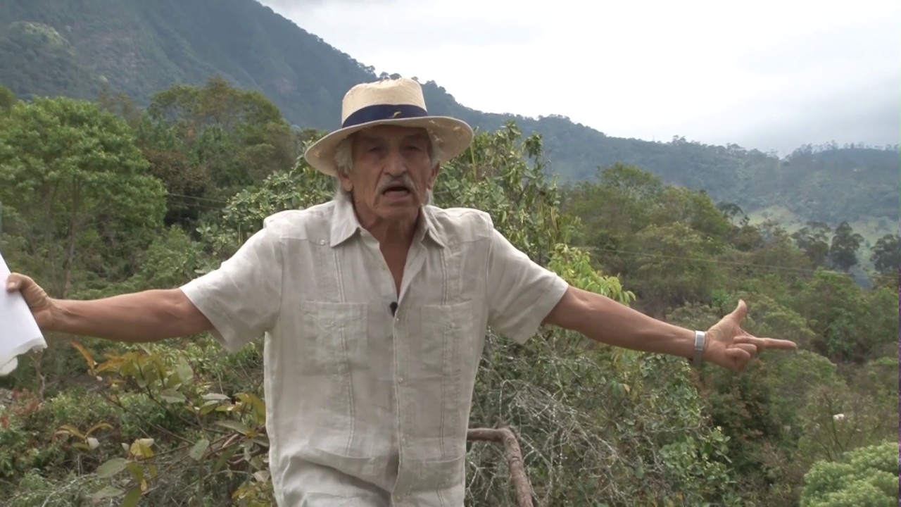 Tercer Día De Creación