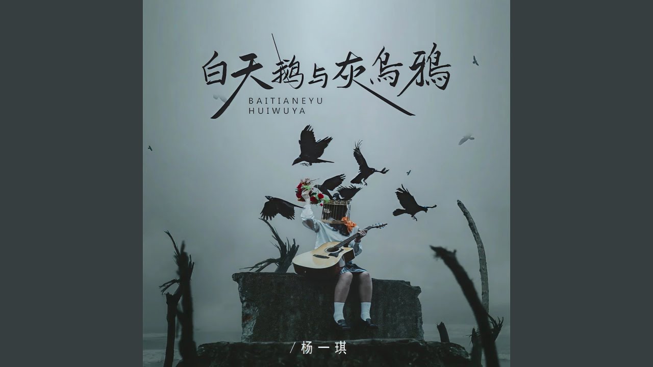 白天鹅与灰乌鸦