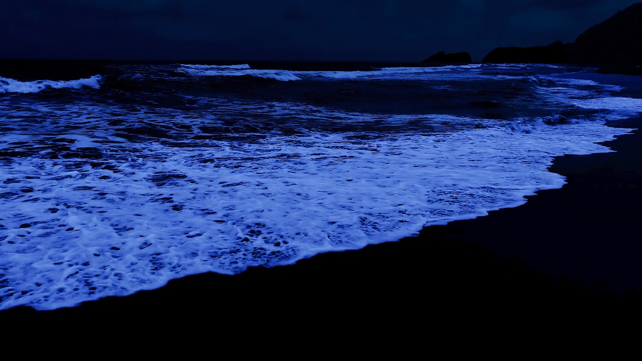 Sound of Inner Healing by the Ocean Shore - Ocean Waves for Deep Sleep