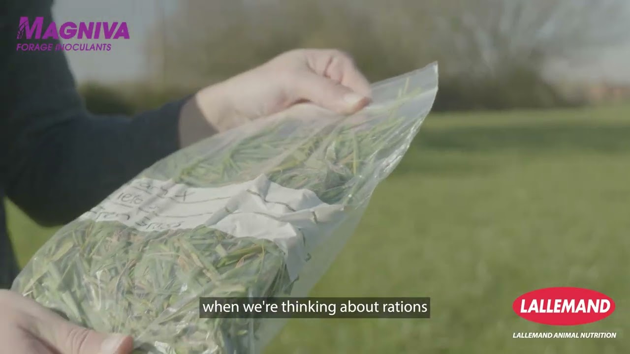 Farmer Experience: Sally Williams shares how Magniva improves her grass silage
