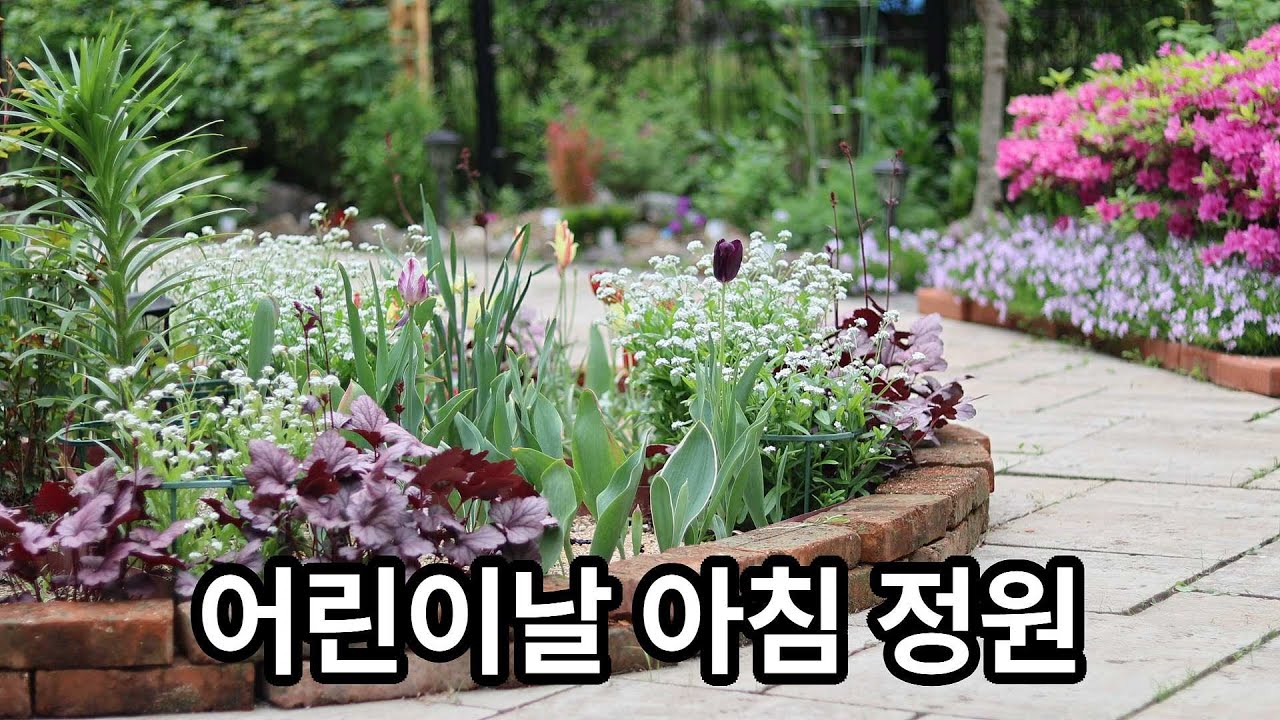 어린이날 아침 정원 - 2025년 5월 5일