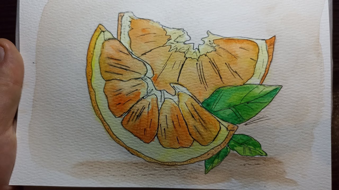 Рисунок акварелью / Долька апельсина