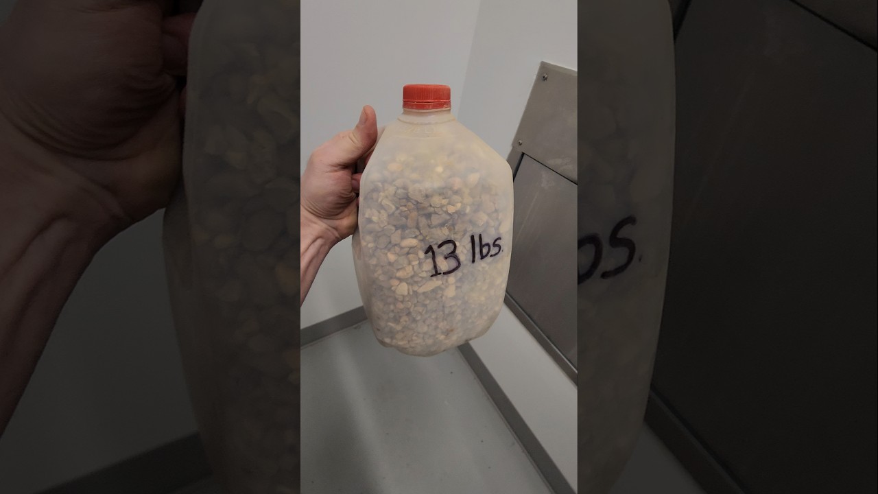 13 Pounds Of Pebbles - January 30, 2026 - Down The Garbage Chute 