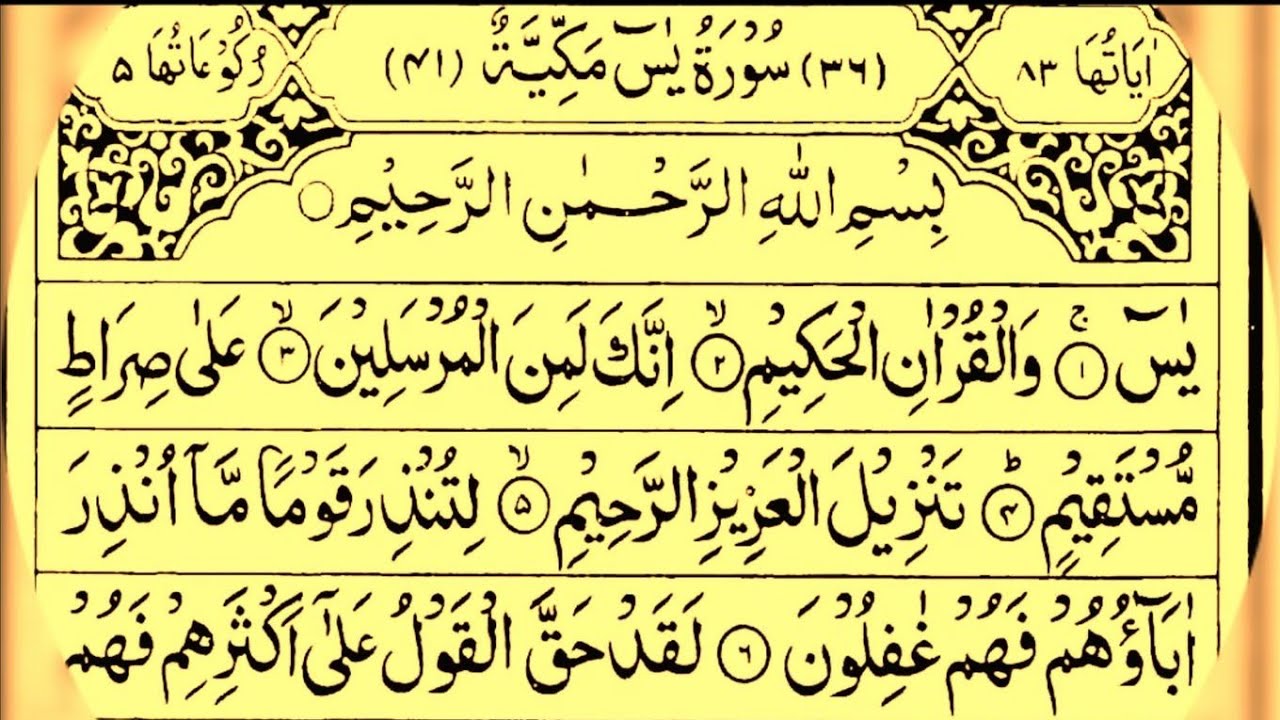 live🔴now Rang e Raza/Surah Yaseen part (10)learn Quran with Tajweed live #Shorts #ShortsFeed #quran