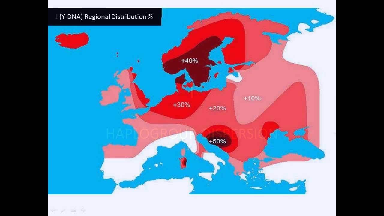 I2a Haplogroup Since the Last Ice Age